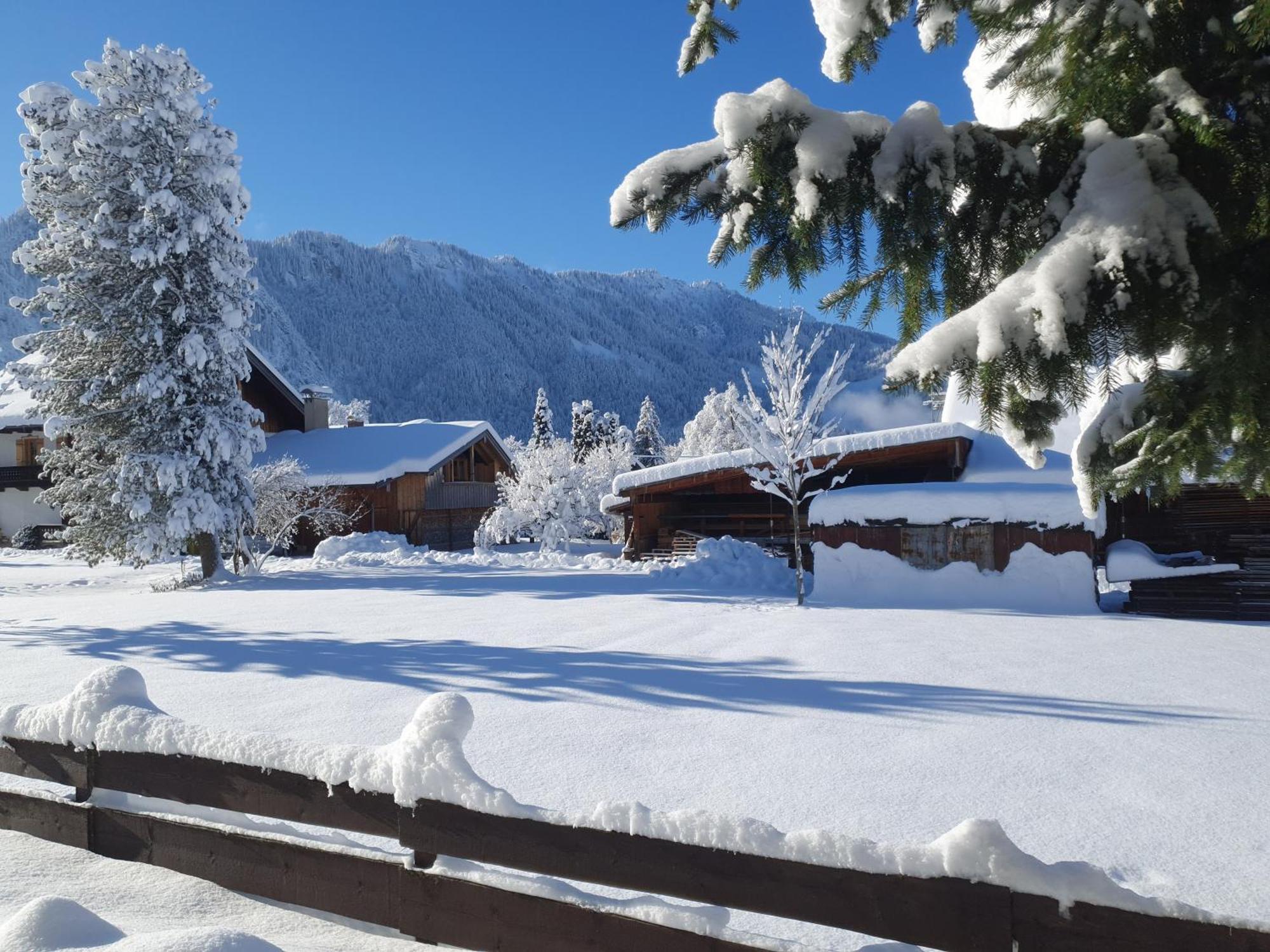شقة Alpenblick اوبرامرغو المظهر الخارجي الصورة
